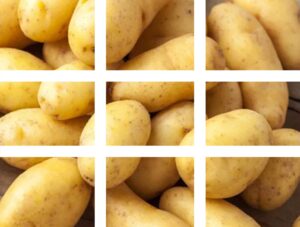 Machines agricoles pour la culture des pommes de terre