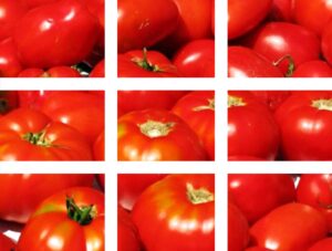 Machines agricoles pour la culture des tomates | Oliver Agro